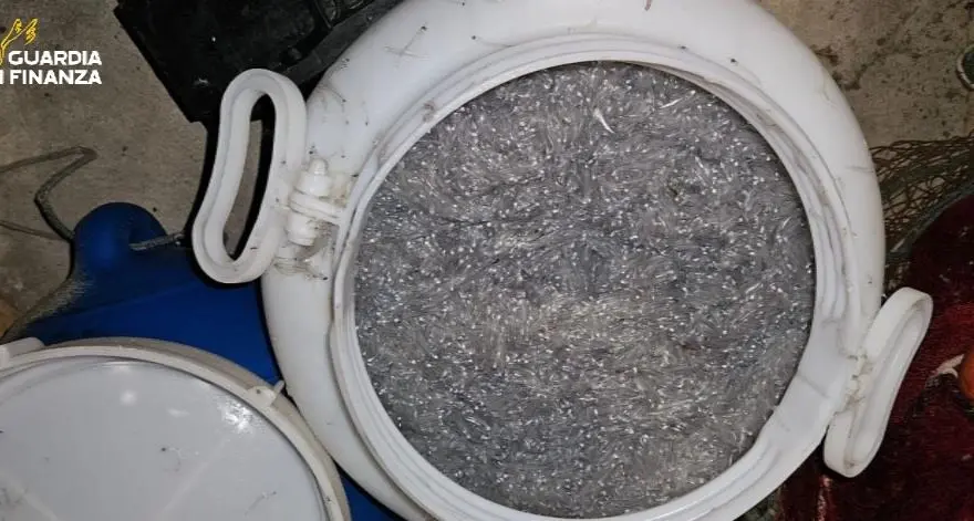 Pesca di frodo nel Crotonese, sequestrati 22 kg di novellame a Strongoli Marina\n