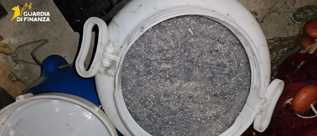 Pesca di frodo nel Crotonese, sequestrati 22 kg di novellame a Strongoli Marina\n