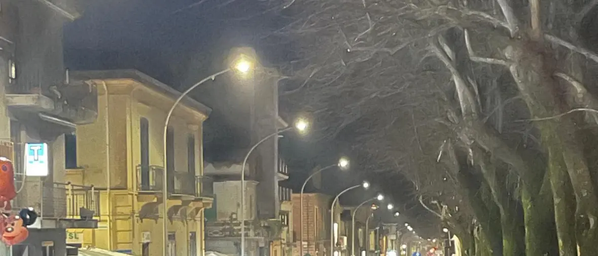 Gran Carnevale Cittanovese, successo tra colori, arte e partecipazione\n