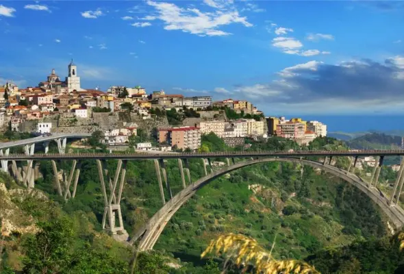 Gatti randagi, il duro attacco di di Veraldi, Parisi, Donato: «Il comune fa beneficenza all’Asp»\n