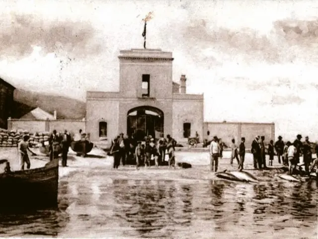 Dal barone trapanese che l’aprì alle porte spalancate\u00A0durante la guerra: la storia della Tonnara Santa Venere ora\u00A0bene culturale tutelato\n