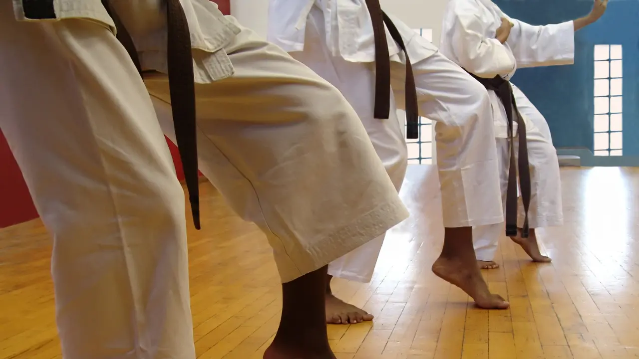 Vibo pronta ad ospitare il Gran prix karate Calabria: appuntamento al Pala Borsellino\n