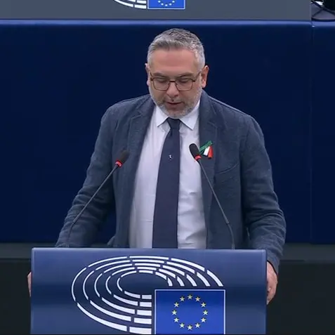 Ciclone Harry, Nesci (Fdi-Ecr) a Strasburgo: «La Calabria non resti sola, l’Europa faccia la sua parte»\n