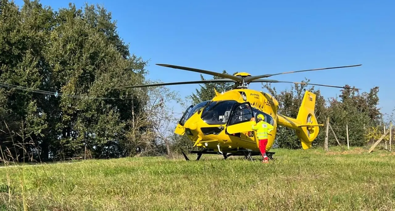 Tarsia, cade da un albero e si ferisce: trasferito in elisoccorso a Cosenza\n