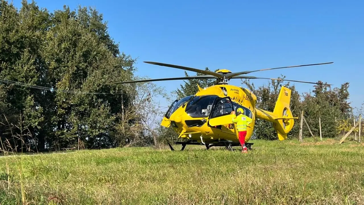 Tarsia, cade da un albero e si ferisce: trasferito in elisoccorso a Cosenza\n