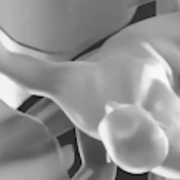 Giorno del Ricordo, il MUR celebra con «Monumentum»: corpi e memoria per non dimenticare le foibe\n