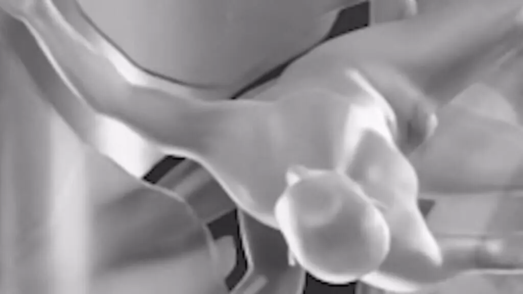 Giorno del Ricordo, il MUR celebra con «Monumentum»: corpi e memoria per non dimenticare le foibe\n