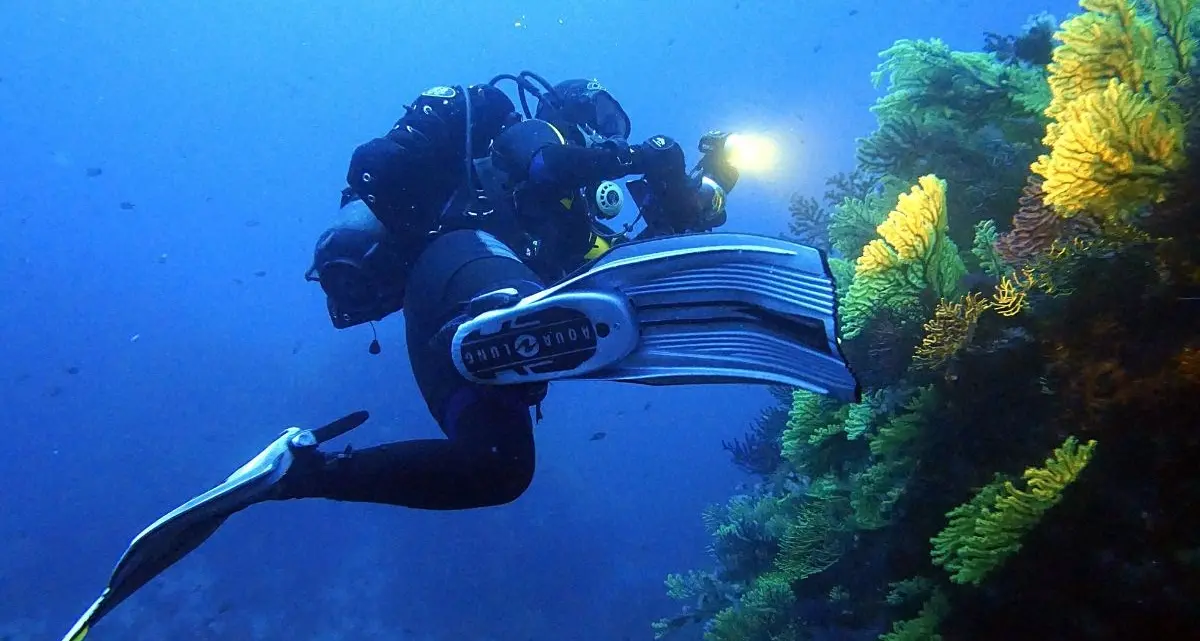 Parchi marini, Montuoro: «La Calabria dentro la sfida europea della tutela per lo sviluppo». Il 13 la presentazione del progetto LIFE TerrAmare\n