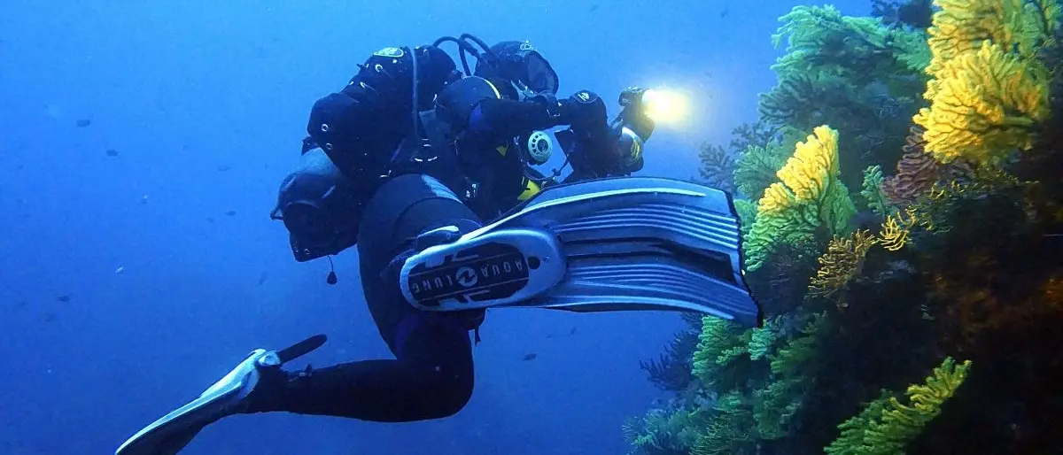 Parchi marini, Montuoro: «La Calabria dentro la sfida europea della tutela per lo sviluppo». Il 13 la presentazione del progetto LIFE TerrAmare\n