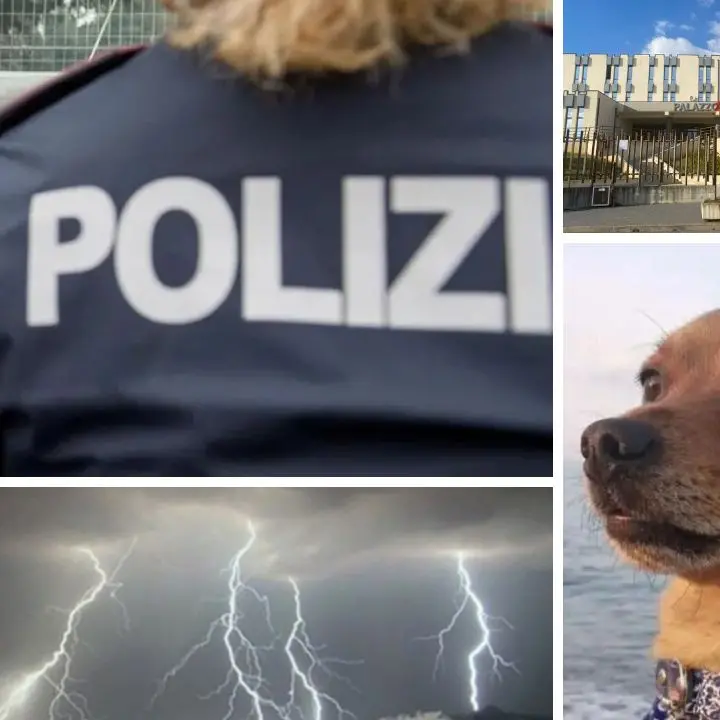 Cosenza, cosa è successo oggi: arresti, inchieste, maltempo e aggressioni\n
