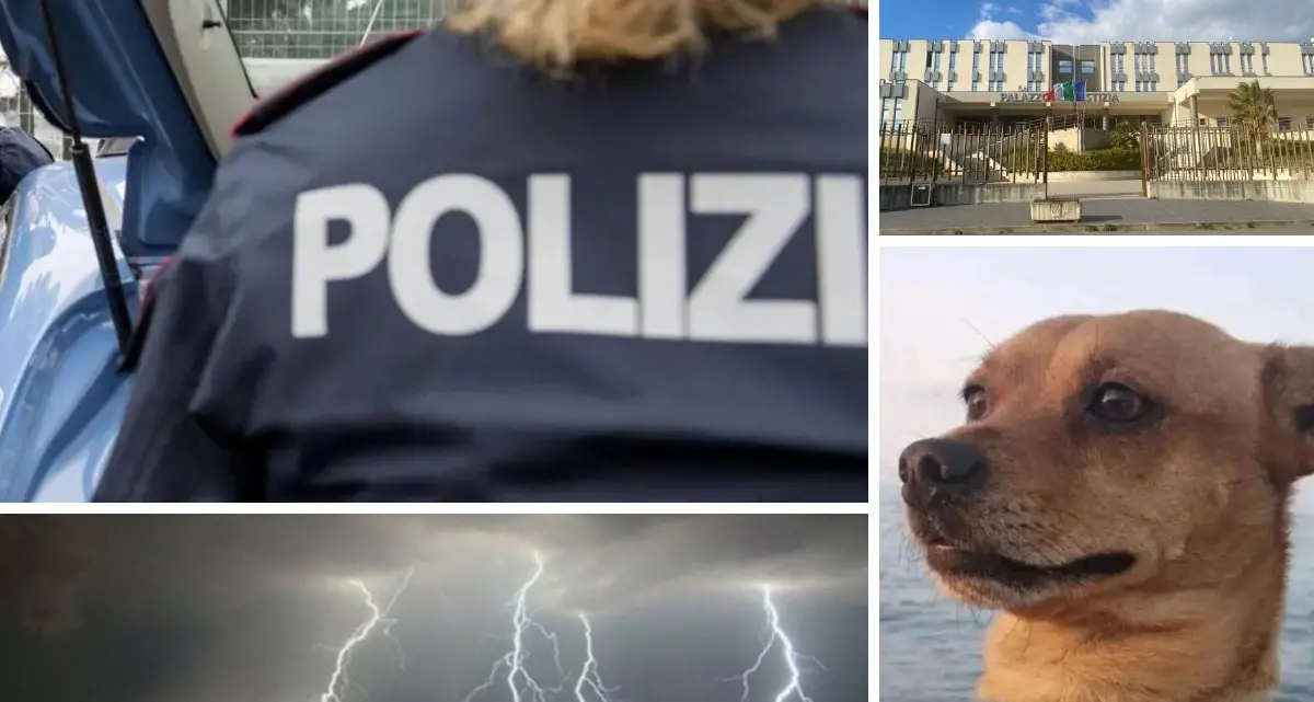 Cosenza, cosa è successo oggi: arresti, inchieste, maltempo e aggressioni\n