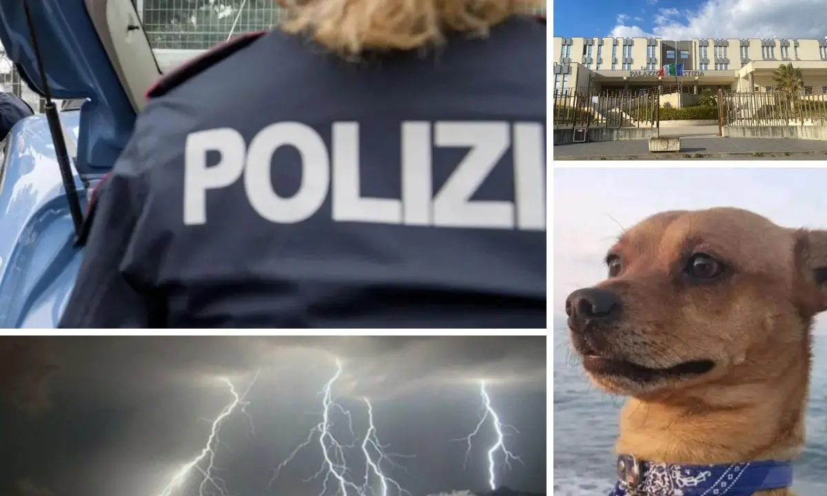 Cosenza, cosa è successo oggi: arresti, inchieste, maltempo e aggressioni\n