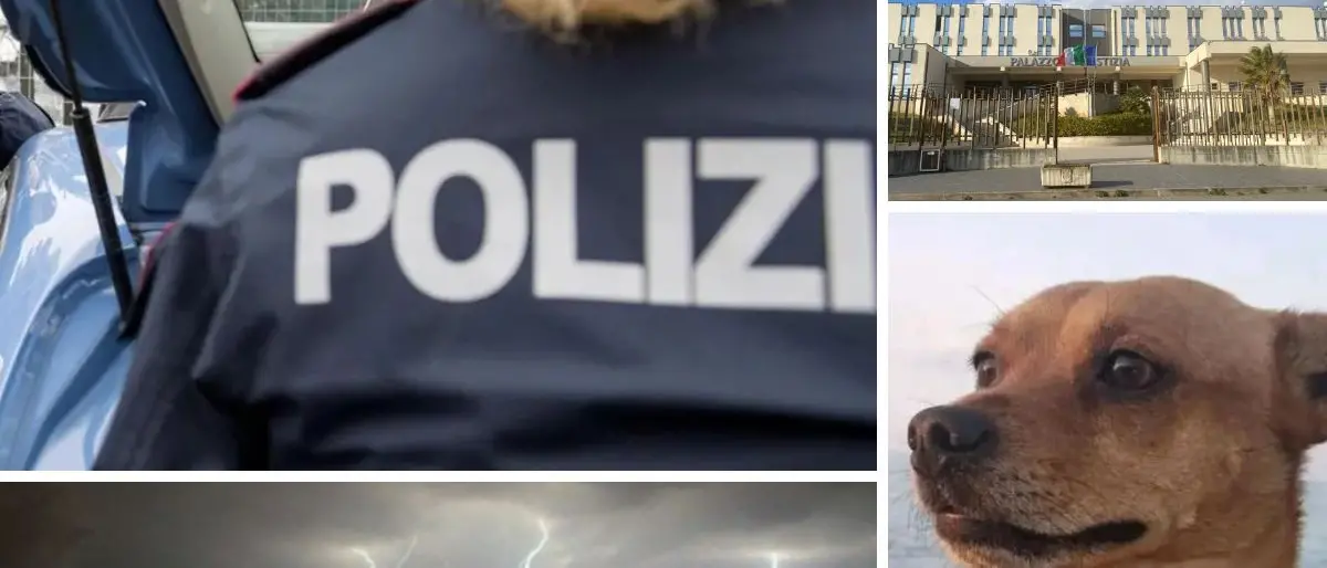 Cosenza, cosa è successo oggi: arresti, inchieste, maltempo e aggressioni\n