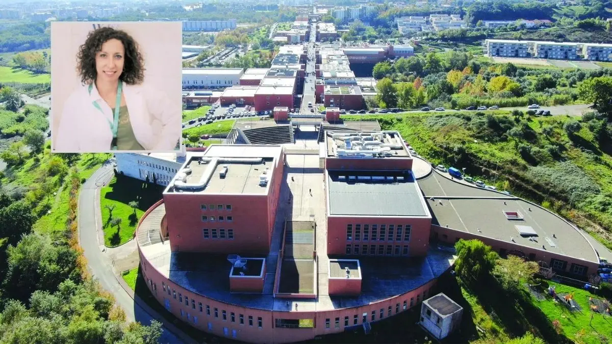 Giovani talenti in fuga dalla Calabria,\u00A0l’Unical prova a invertire la rotta: «Si può restare per costruire il futuro»\n