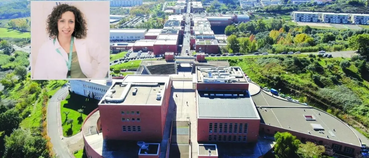 Giovani talenti in fuga dalla Calabria,\u00A0l’Unical prova a invertire la rotta: «Si può restare per costruire il futuro»\n