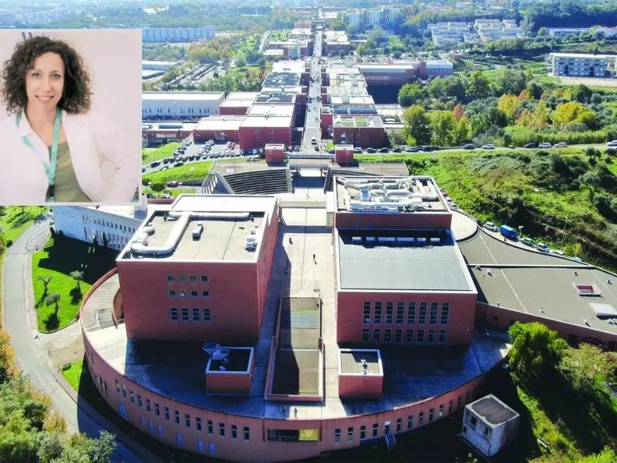 Giovani talenti in fuga dalla Calabria, l’Unical prova a invertire la rotta: «Si può restare per costruire il futuro»