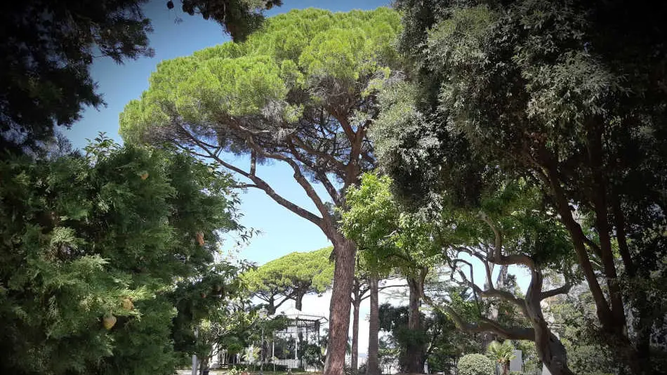 Carnevale, numerose iniziative in programma tra il Centro storico ed il quartiere Lido