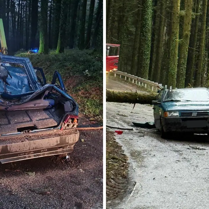 Maltempo, albero cade su un’auto a Serra San Bruno: un ferito, disagi alla circolazione\n