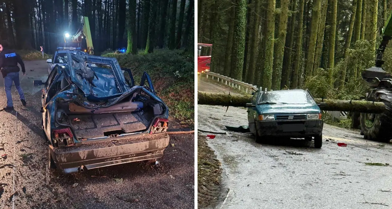 Maltempo, albero cade su un’auto a Serra San Bruno: un ferito, disagi alla circolazione\n