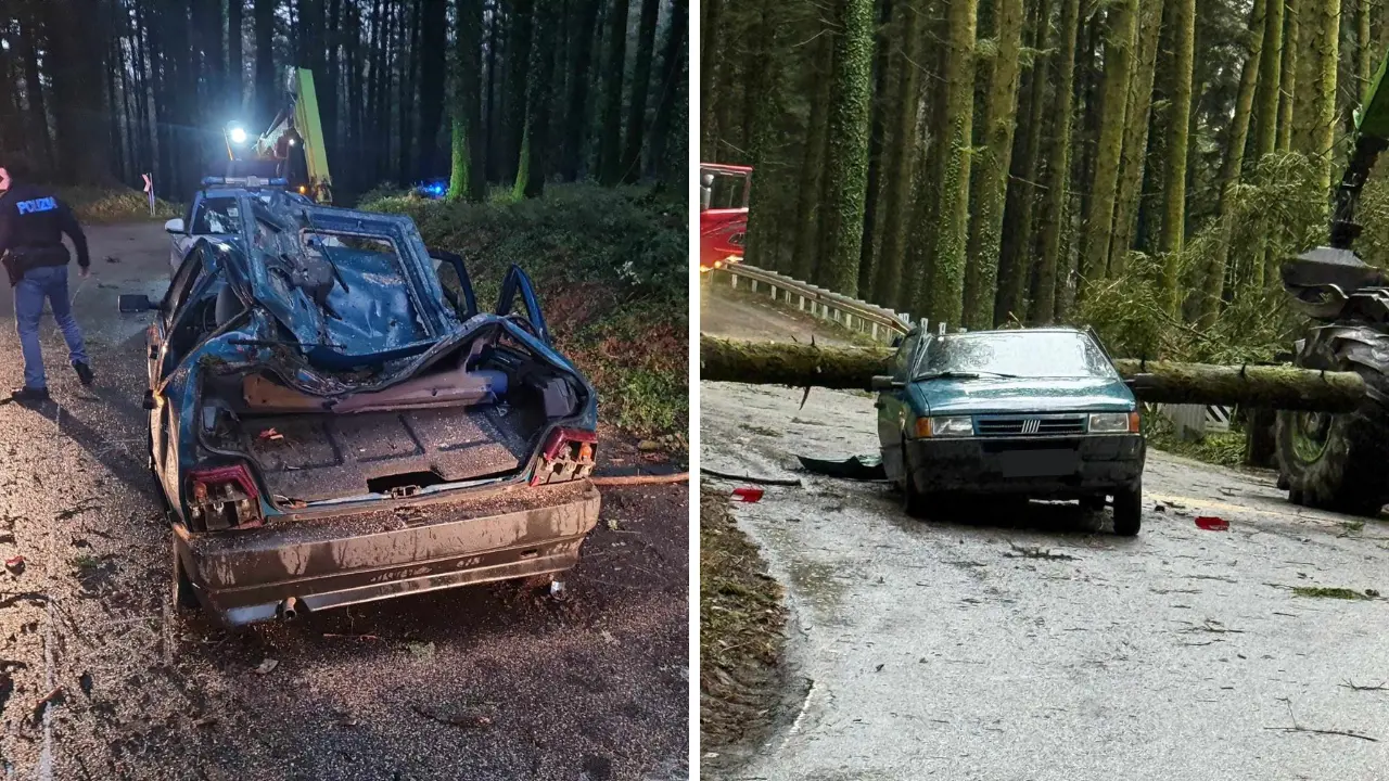 Maltempo, albero cade su un’auto a Serra San Bruno: un ferito, disagi alla circolazione\n