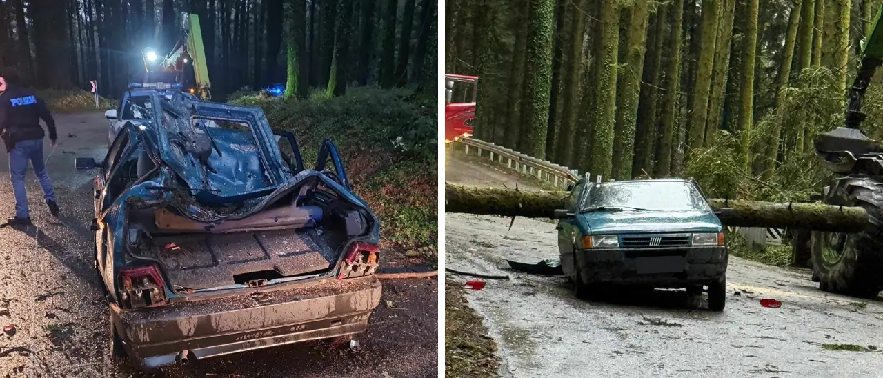 Maltempo, albero cade su un’auto a Serra San Bruno: un ferito, disagi alla circolazione\n