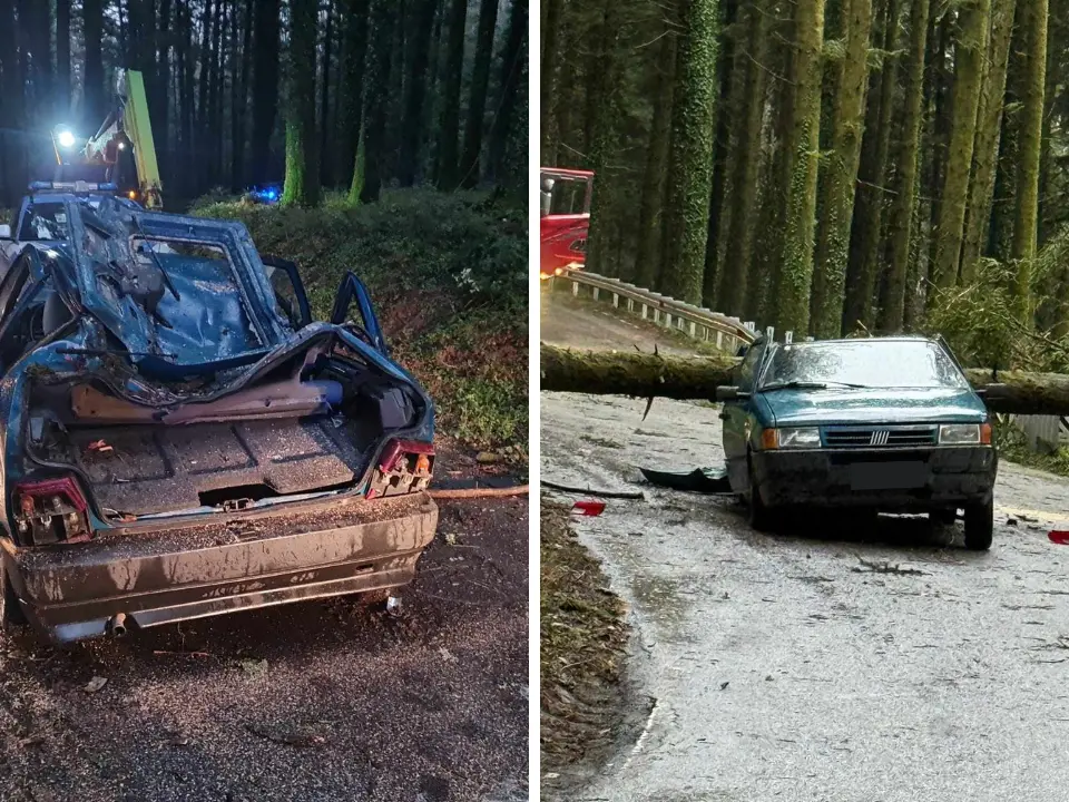 Maltempo, albero cade su un’auto a Serra San Bruno: un ferito, disagi alla circolazione