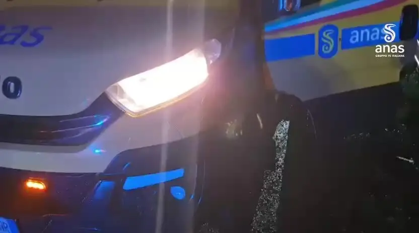 Albero cade su un'auto a Mongiana