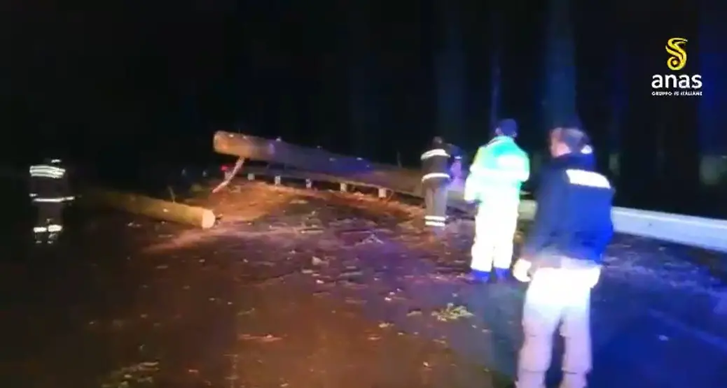 <p>Serra San Bruno, albero cade su un'auto a causa del maltempo: una persona ferita</p>