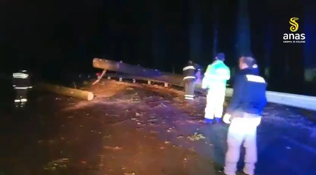 <p>Serra San Bruno, albero cade su un'auto a causa del maltempo: una persona ferita</p>