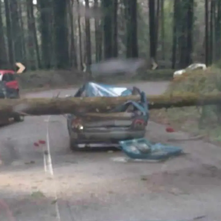 Maltempo:\u00A0in Calabria 120 interventi dei vigili del fuoco in 24 ore, in Sardegna 200\n