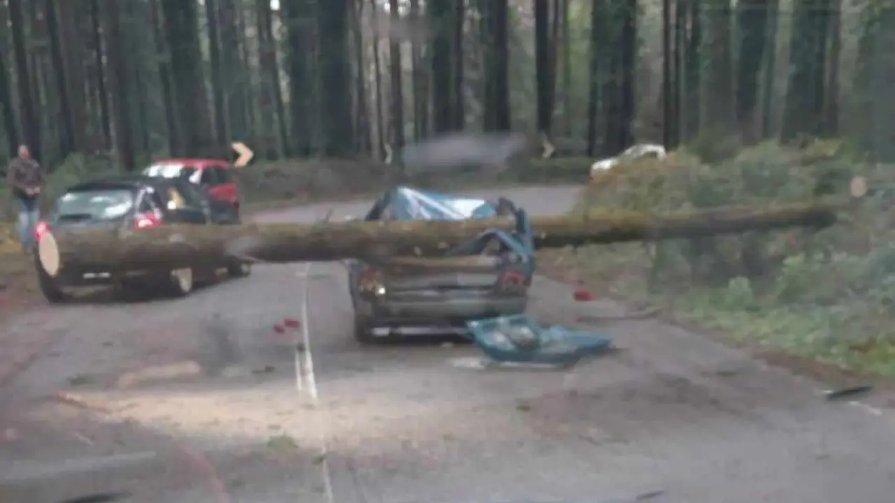 Maltempo:\u00A0in Calabria 120 interventi dei vigili del fuoco in 24 ore, in Sardegna 200\n