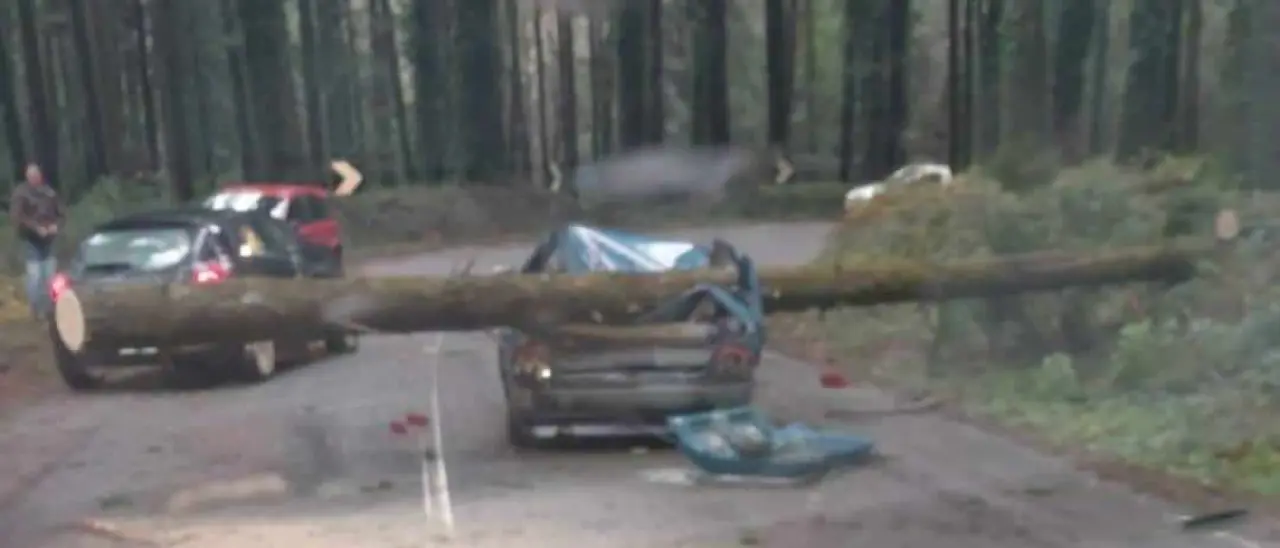 Maltempo:\u00A0in Calabria 120 interventi dei vigili del fuoco in 24 ore, in Sardegna 200\n