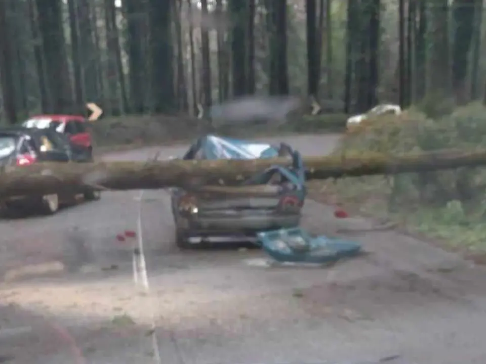 Maltempo: in Calabria 120 interventi dei vigili del fuoco in 24 ore, in Sardegna 200