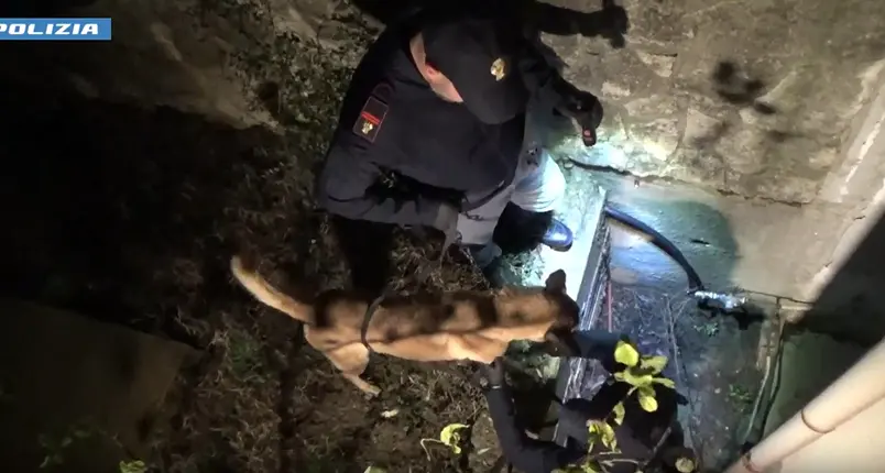 Traffico di stupefacenti, cinque arresti tra Cosenza e Marano Principato\n