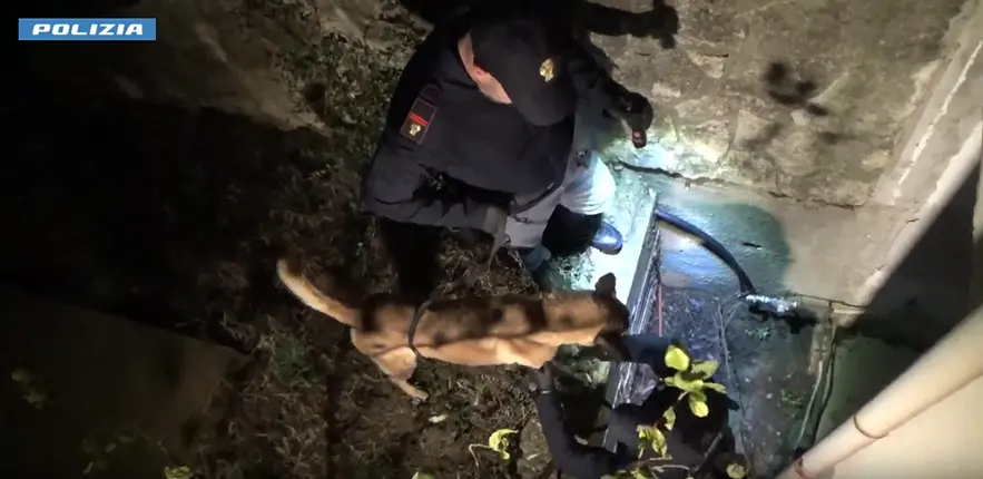 Traffico di stupefacenti, cinque arresti tra Cosenza e Marano Principato\n