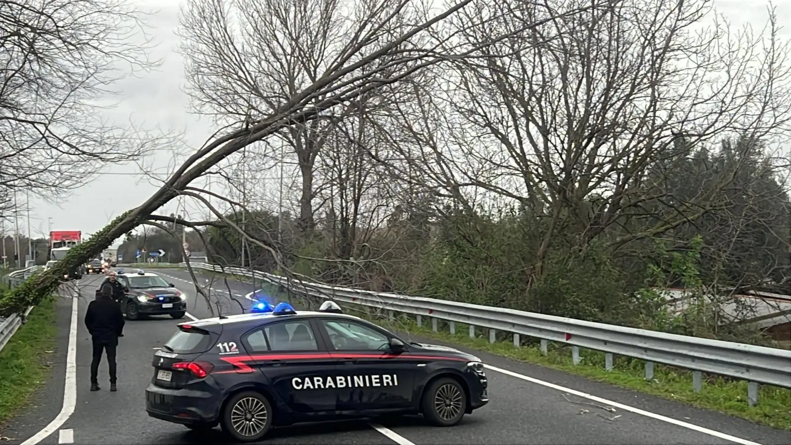 Maltempo nel Reggino, cade albero sulla Jonio-Tirreno: traffico rallentato\n