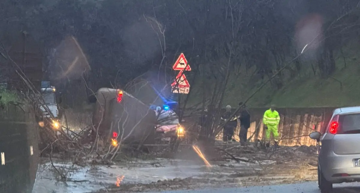 Il maltempo divora (ancora) la Calabria, frane e allagamenti sulle strade: diversi i tratti chiusi al traffico\n