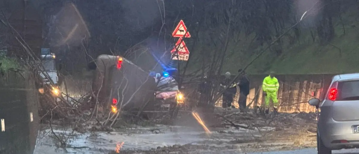 Il maltempo divora (ancora) la Calabria, frane e allagamenti sulle strade: diversi i tratti chiusi al traffico\n