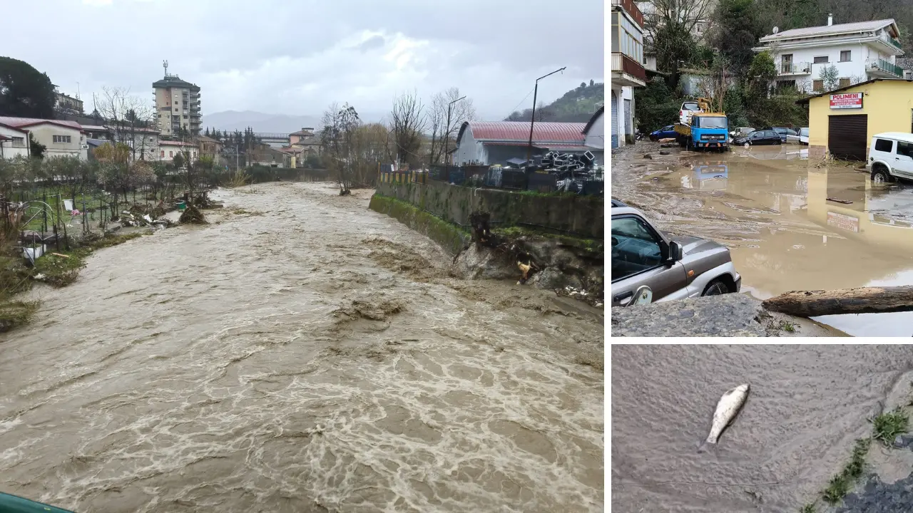 Il ciclone si abbatte sulla Calabria: frane e disagi nel Catanzarese. Esondano i fiumi a Cosenza: famiglie isolate –\u00A0LIVE\n