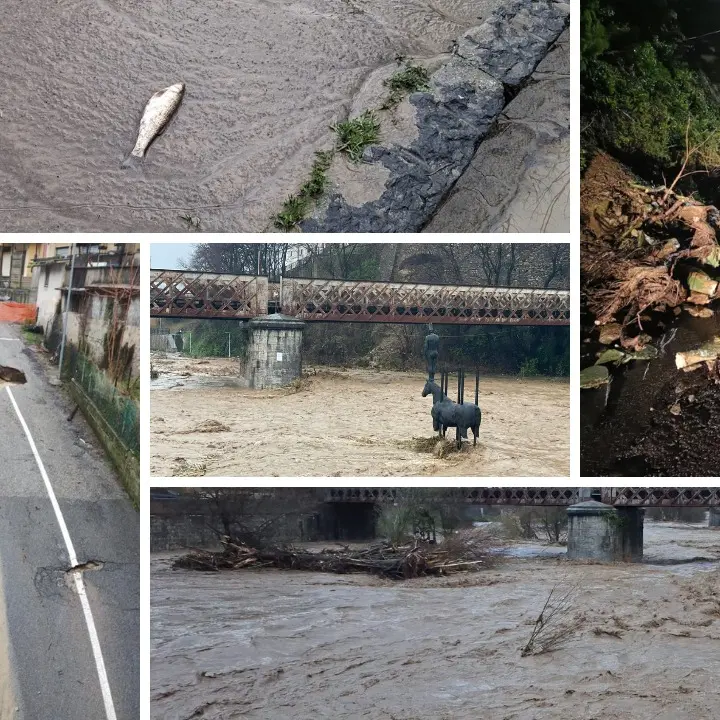 <p>Il ciclone si abbatte sulla Calabria: sommerso un parco di pannelli solari a Tarsia, famiglie evacuate nel Lametino – LIVE</p>