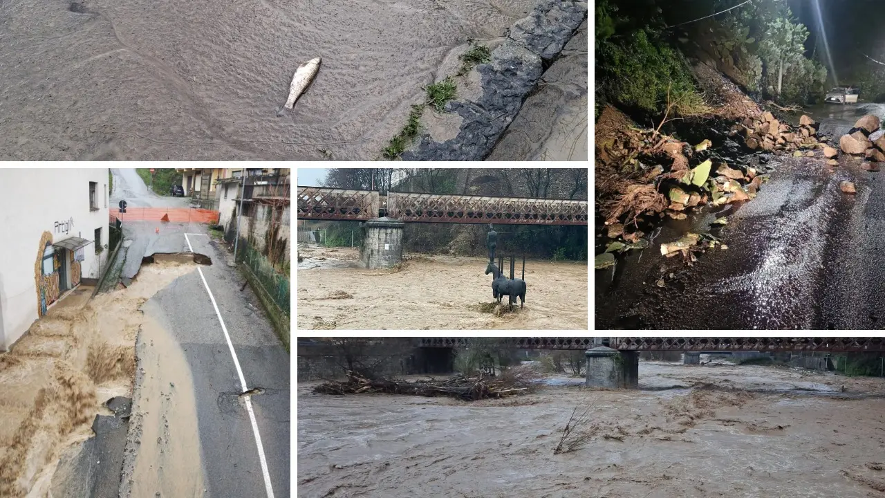 <p>Il ciclone si abbatte sulla Calabria: frane e disagi nel Catanzarese. Esondano i fiumi a Cosenza: famiglie isolate – LIVE</p>