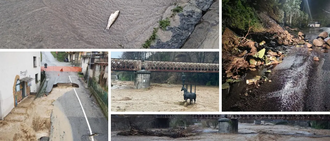 Il ciclone\u00A0si abbatte sulla Calabria: il Crati esonda e sommerge un parco di pannelli solari –\u00A0LIVE