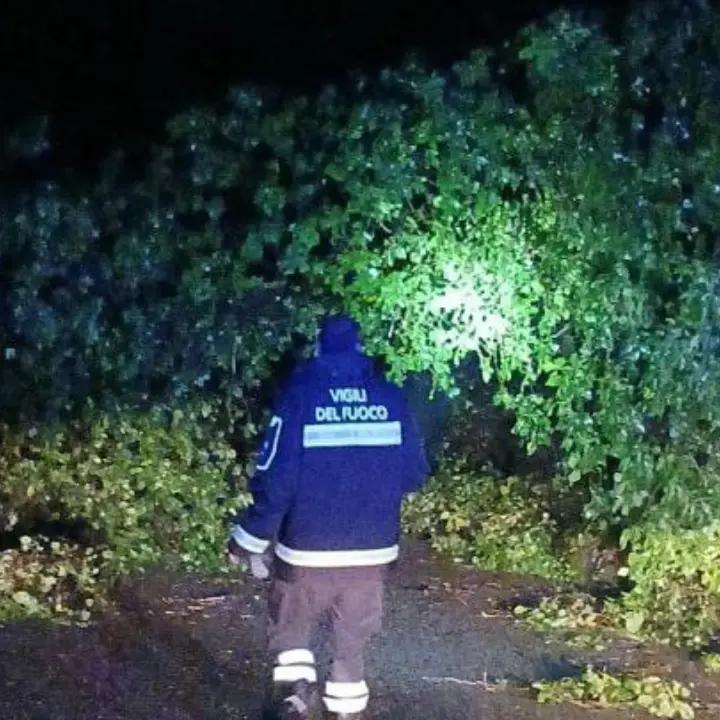 <p>Maltempo anche nel Vibonese, oltre 80 interventi dei Vigili del Fuoco e viabilità in tilt</p>