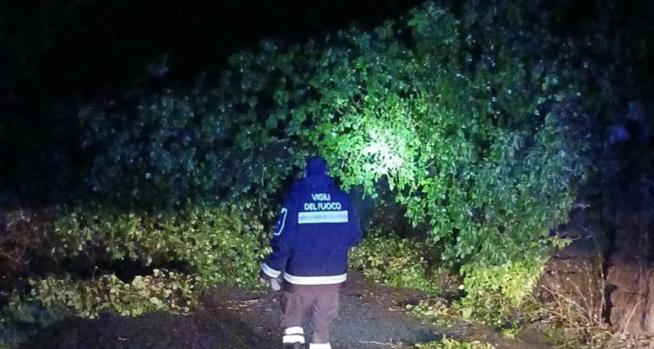 Maltempo, vento e frane nel Vibonese: più di 80 interventi dei Vigili del Fuoco, viabilità in tilt\n