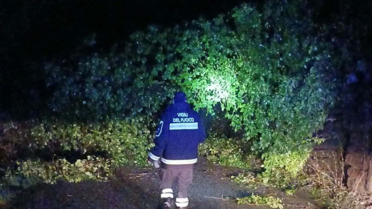 <p>Maltempo anche nel Vibonese, oltre 80 interventi dei Vigili del Fuoco e viabilità in tilt</p>