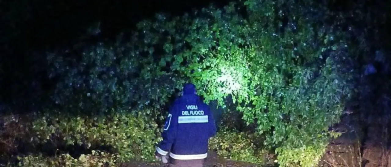 Maltempo, vento e frane nel Vibonese: più di 80 interventi dei Vigili del Fuoco, viabilità in tilt\n