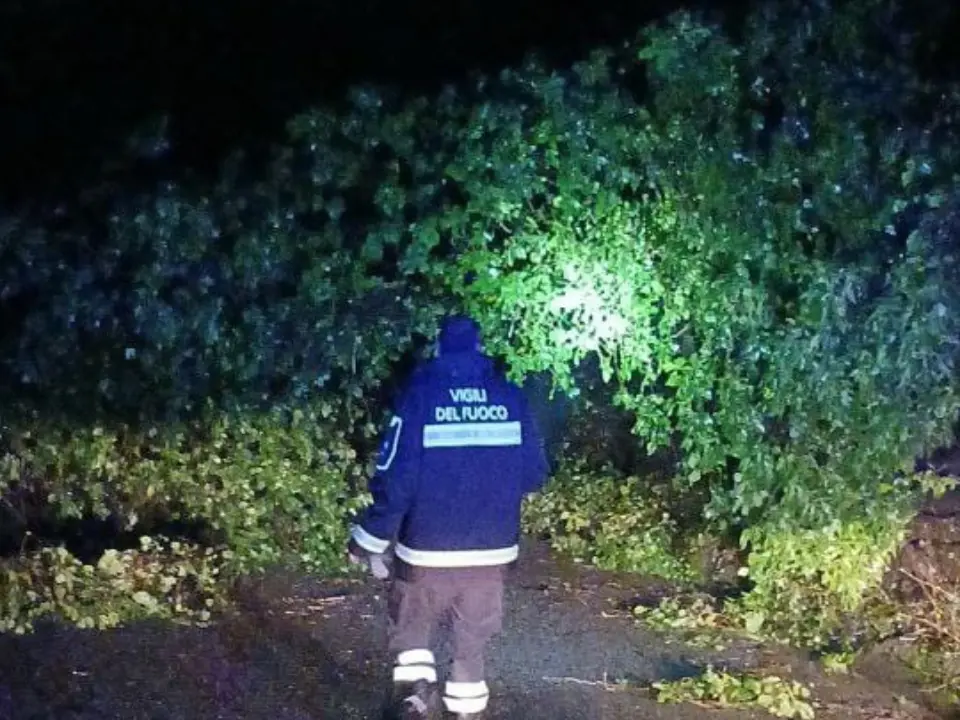 Maltempo, vento e frane nel Vibonese: più di 80 interventi dei Vigili del Fuoco, viabilità in tilt