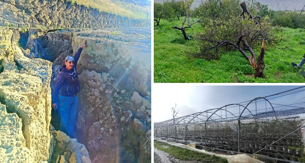 Ciclone Nils, in Calabria anche l’agricoltura è in ginocchio: campi e colture inondati da Reggio a Cosenza\n