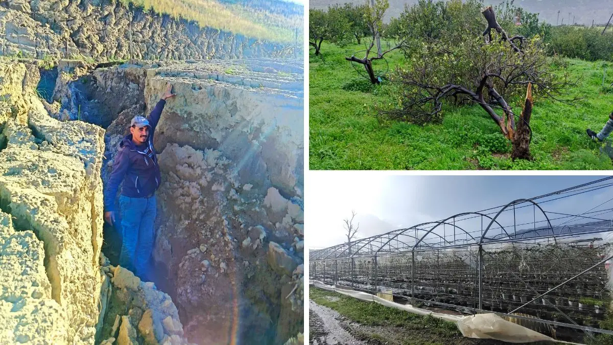 Ciclone Nils, in Calabria anche l’agricoltura è in ginocchio: campi e colture inondati da Reggio a Cosenza\n