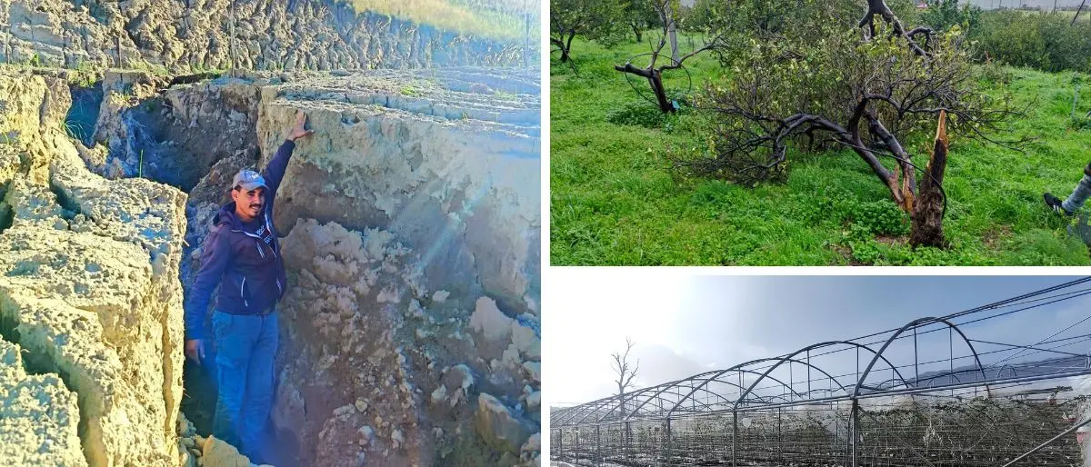 Ciclone Nils, in Calabria anche l’agricoltura è in ginocchio: campi e colture inondati da Reggio a Cosenza\n